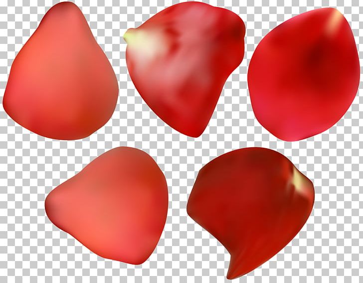 Petal Rose Flower PNG, Clipart, Clip Art, Desktop Wallpaper, Flower, Flowers, Heart Free PNG Download