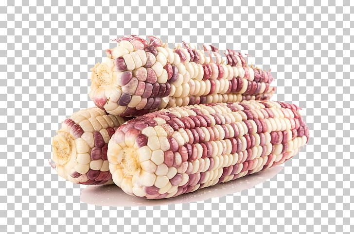 Chicha Corn On The Cob Waxy Corn Vegetarian Cuisine Food PNG, Clipart, Agriculture, Chicha, Commodity, Corn, Corncob Free PNG Download