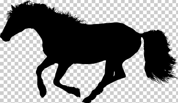 Clydesdale Horse Gallop Stallion Equestrian PNG, Clipart, Black And White, Bridle, Clydesdale Horse, Collection, Colt Free PNG Download