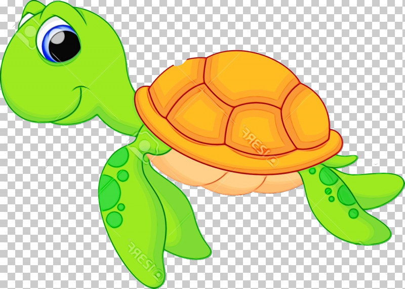 Sea Turtles Tortoise M Turtles Cartoon Yellow PNG, Clipart, Biology, Cartoon, Paint, Reptiles, Science Free PNG Download