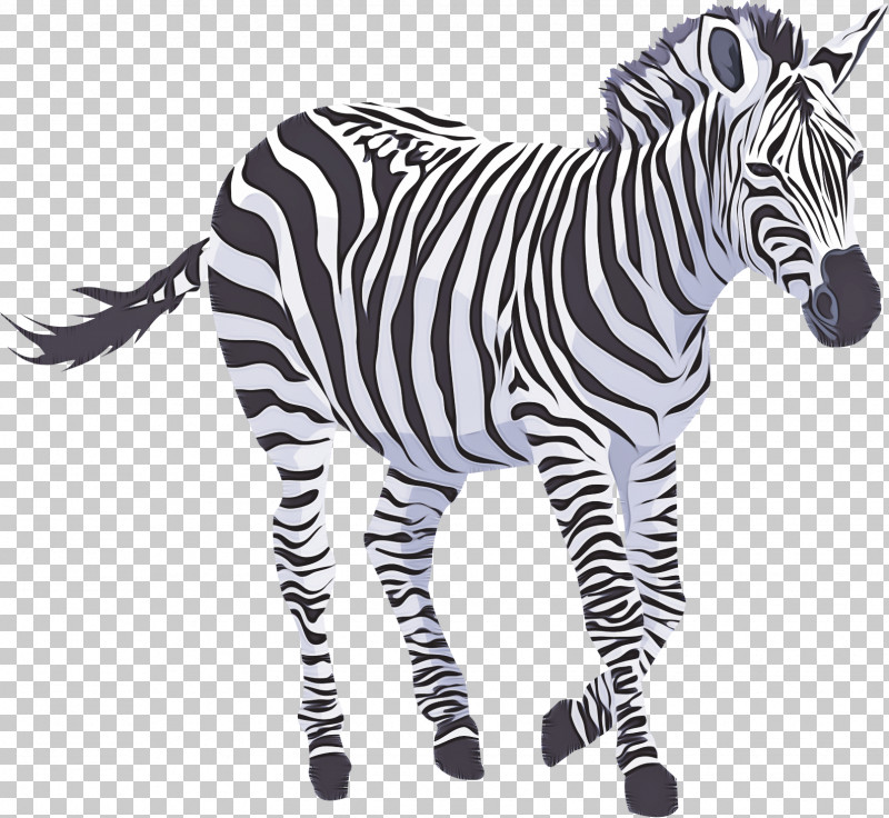 Zebra Animal Figure Wildlife Snout Black-and-white PNG, Clipart, Animal Figure, Blackandwhite, Mane, Snout, Wildlife Free PNG Download