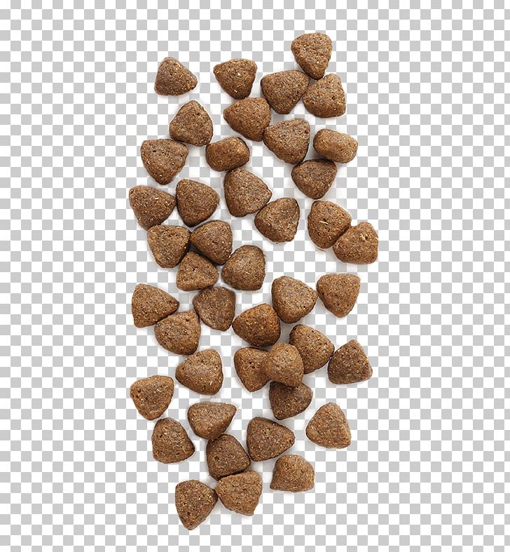 Dog Food Omega-6 Fatty Acid Pet Food PNG, Clipart, Breed, Chicken Meal, Coast, Commodity, Diet Free PNG Download