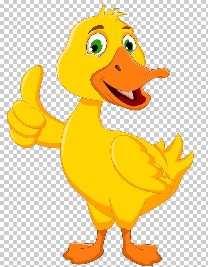 Duck PNG, Clipart, Animal Figure, Animals, Beak, Bird, Cartoon Free PNG Download