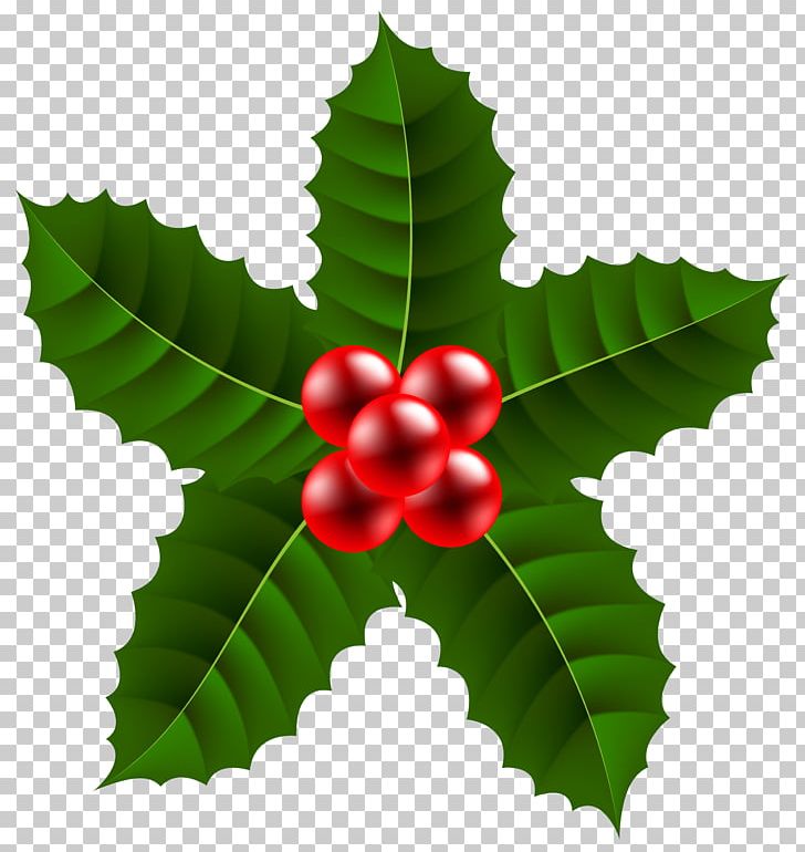 Holly Aquifoliales Fruit Leaf PNG, Clipart, Aquifoliaceae, Aquifoliales, Blog, Christmas, Christmas Clipart Free PNG Download