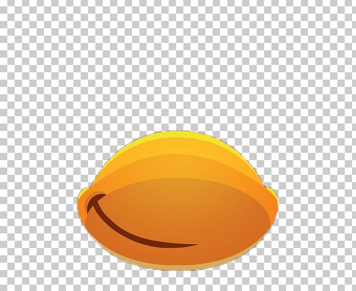 Club Penguin PNG, Clipart, Animals, Club Penguin, Com, Headgear, Orange Free PNG Download