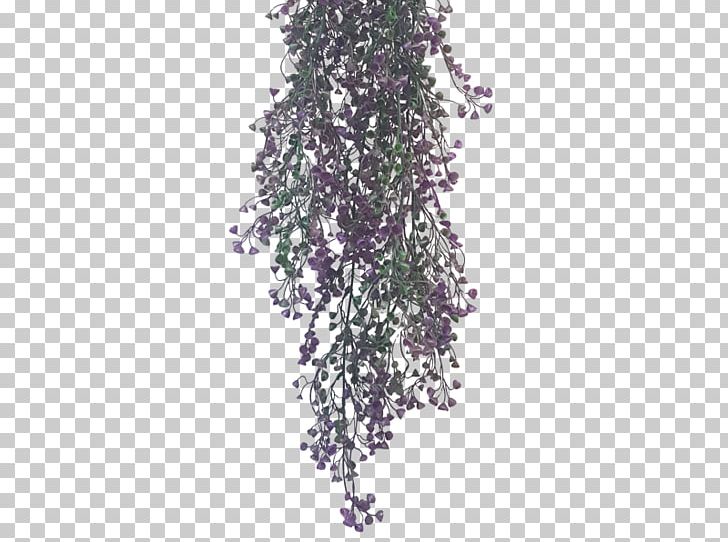 Common Lilac Shrub Color Plant PNG, Clipart, Barcode, Branch, Color, Common Lilac, Flower Bouquet Free PNG Download