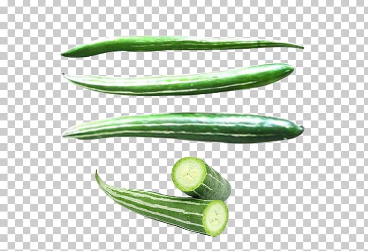 Cucumber Snake Gourd Luffa Vegetable PNG, Clipart, Cucumber, Cucumber Gourd And Melon Family, Cucumis, Cucurbitaceae, Food Free PNG Download