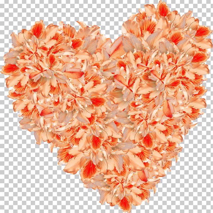 Orange Heart Flower PNG, Clipart, Adobe Illustrator, Cut Flowers, Download, Encapsulated Postscript, Flower Free PNG Download