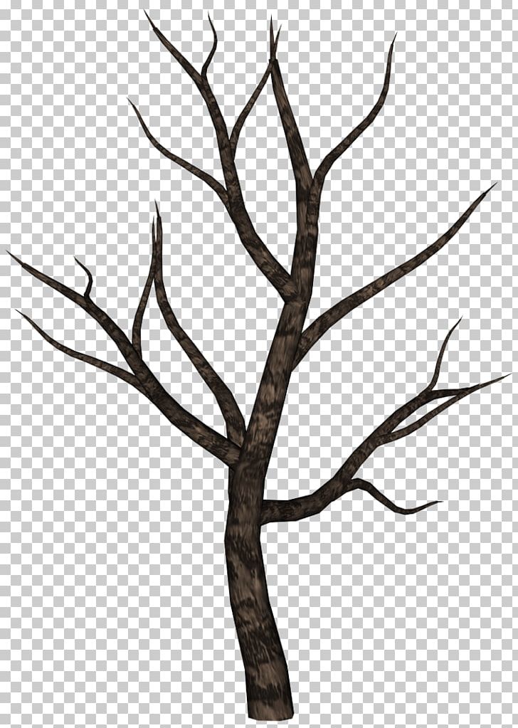 Tree Oak PNG, Clipart, Black And White, Branch, Clip Art, Commercial Invoice, Creepy Free PNG Download