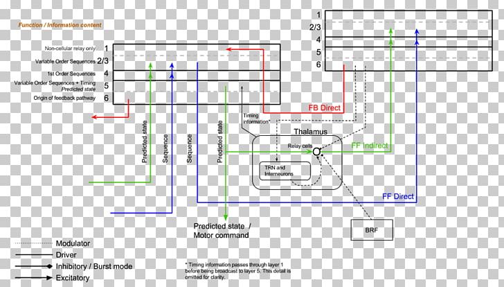 Line Angle Document PNG, Clipart, Angle, Area, Art, Cortical, Diagram Free PNG Download