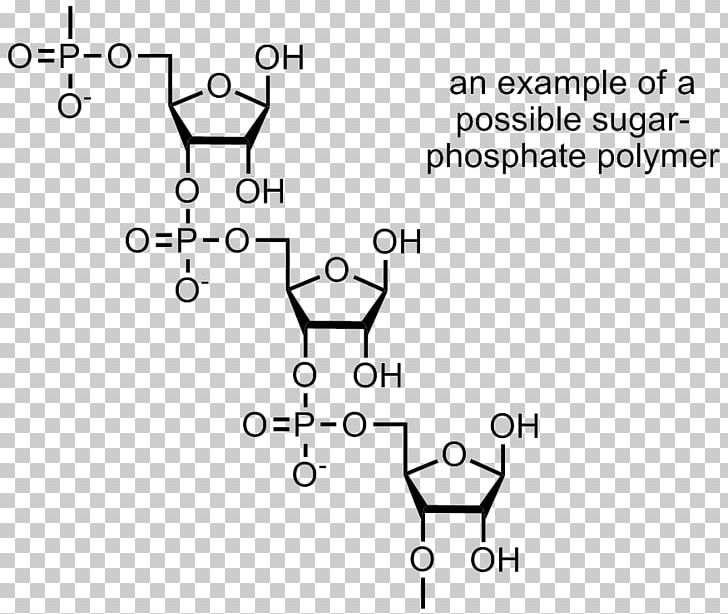 Polymer Carbohydrate Macromolecule Chemistry Monomer PNG, Clipart, Angle, Area, Auto Part, Black And White, Brand Free PNG Download