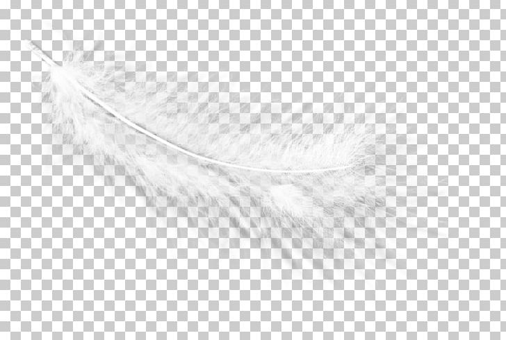 White Feather Eyelash Line PNG, Clipart, Animals, Black And White, Decal Mio M3, Eyelash, Feather Free PNG Download