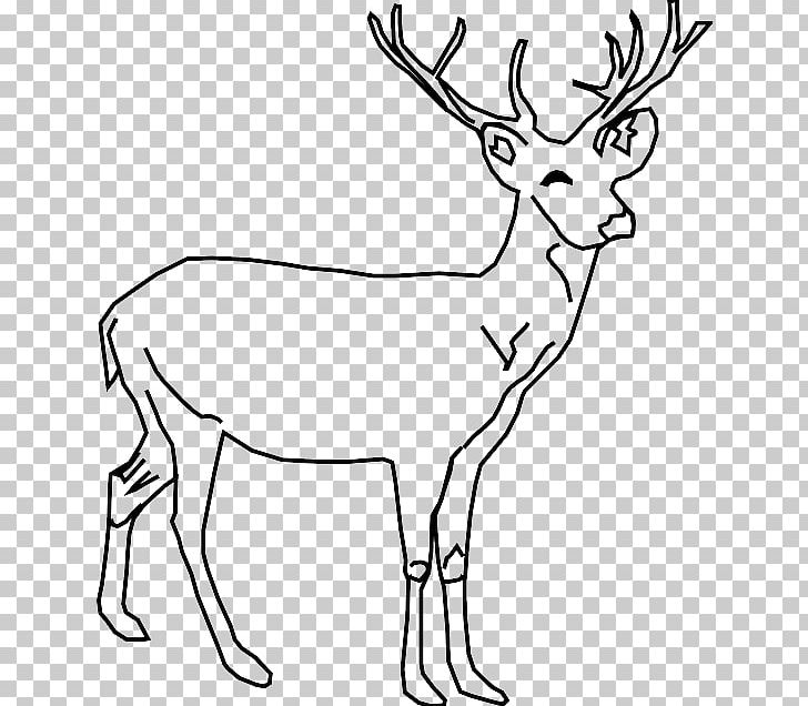 White-tailed Deer Red Deer Drawing PNG, Clipart, Animal, Animal Figure, Animals, Antler, Black And White Free PNG Download