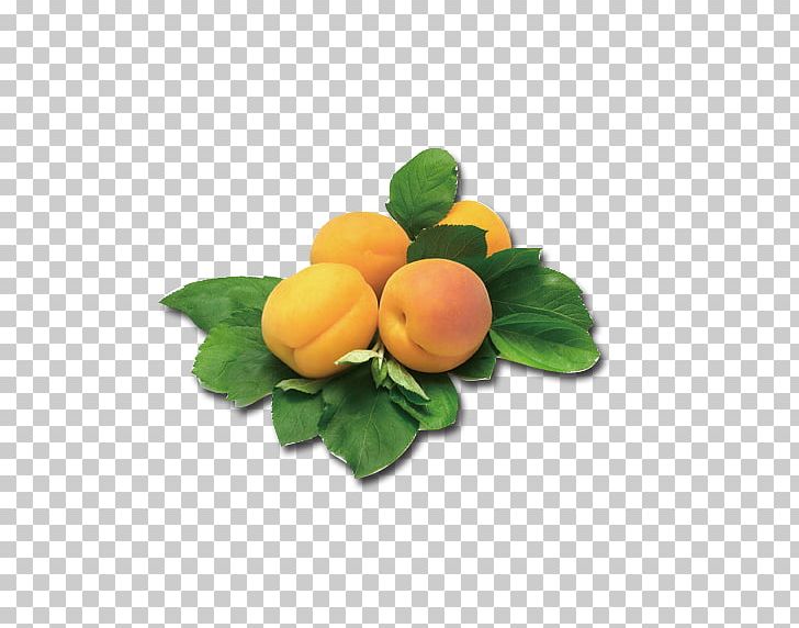 CARD Peach Apricot Yerevan City Supermarket PNG, Clipart, Apricot Flower, Apricot Kernel, Citrus, Encapsulated Postscript, Food Free PNG Download