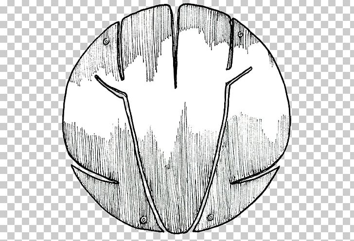 Circle Tree Line Art Angle Jaw PNG, Clipart, Angle, Animal, Black And White, Circle, Drawing Free PNG Download