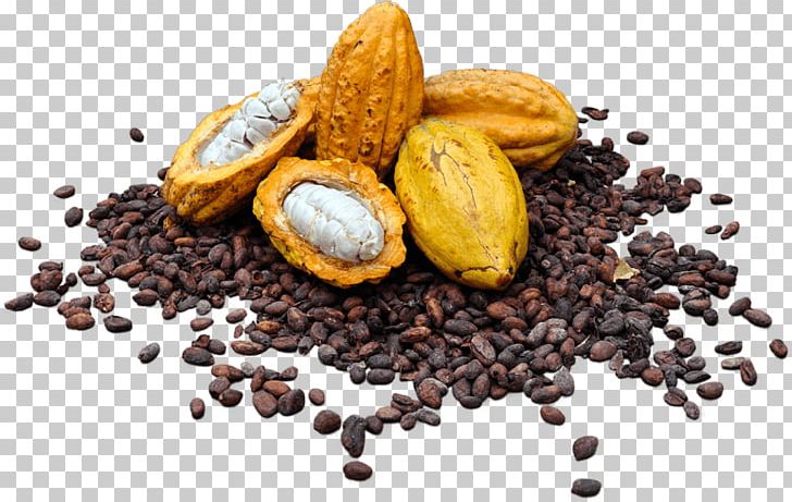 Cocoa Bean Cocoa Solids Raw Chocolate Raw Foodism PNG, Clipart, Cacao, Chocolate, Cocoa Butter, Cocoa Processing Company, Commodity Free PNG Download