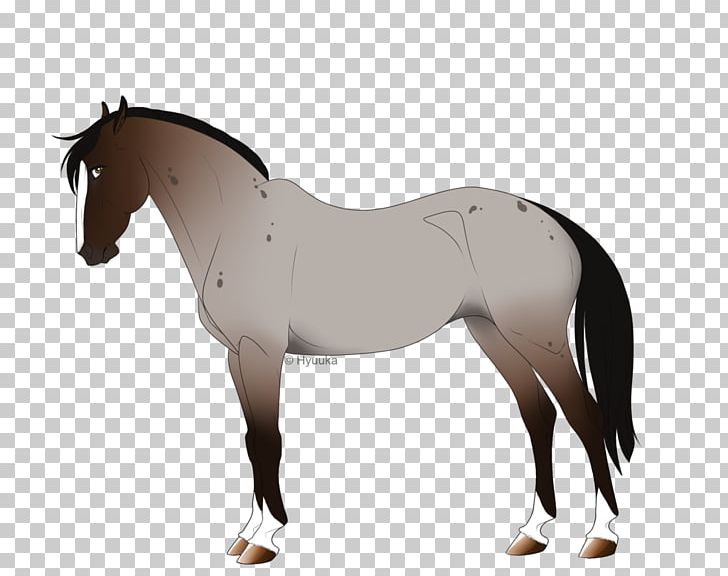 Foal Mane Stallion Rein Mare PNG, Clipart, Bridle, Colt, English Riding, Equestrian, Equestrian Sport Free PNG Download