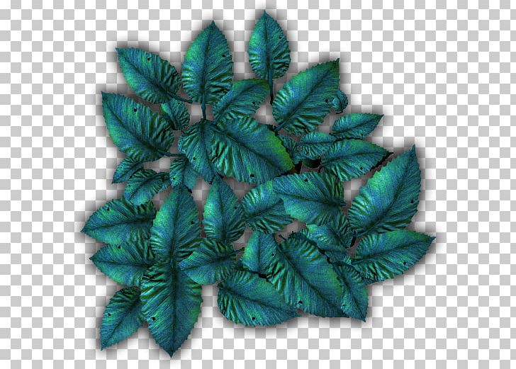 Leaf Turquoise PNG, Clipart, Leaf, Plant, Turquoise Free PNG Download