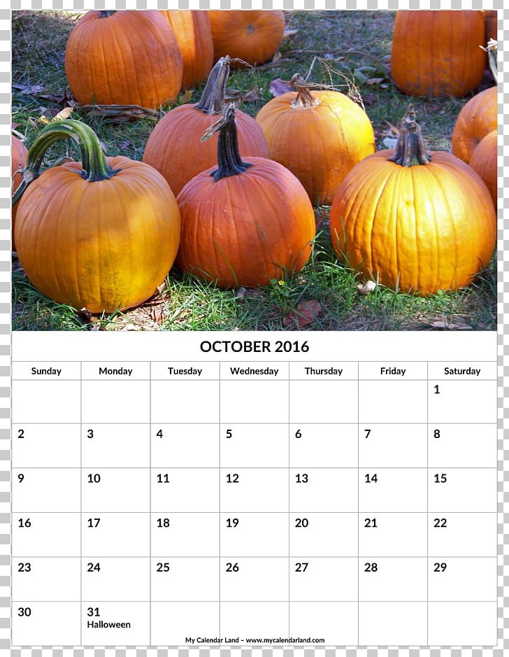 Pumpkin Winter Squash Gourd Food Calabaza PNG, Clipart, Calabaza, Calendar, Carotene, Cooking, Cucumber Gourd And Melon Family Free PNG Download