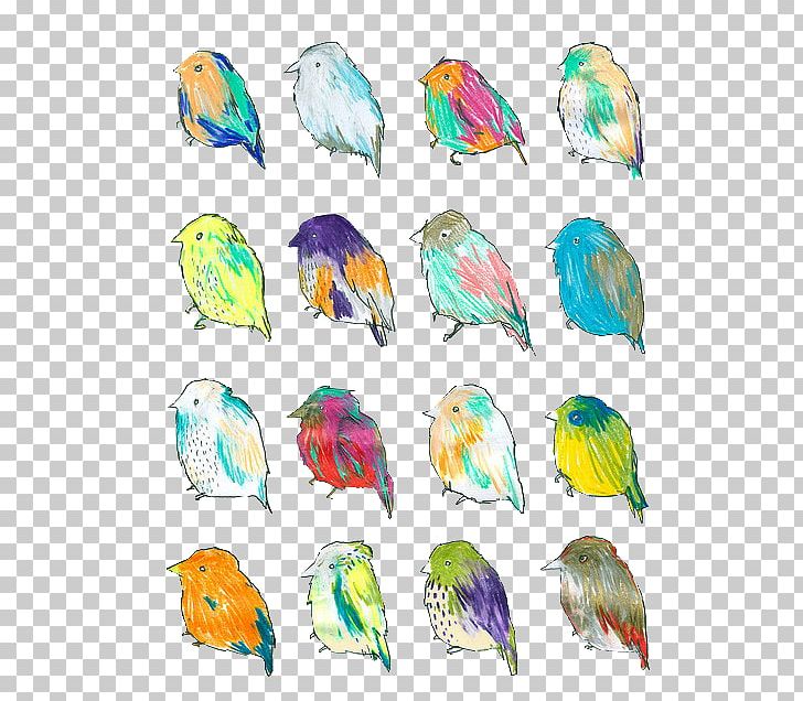 The Birds Of America Painting Drawing PNG, Clipart, Beak, Bird, Birdcage, Bird Day, Birds Of America Free PNG Download