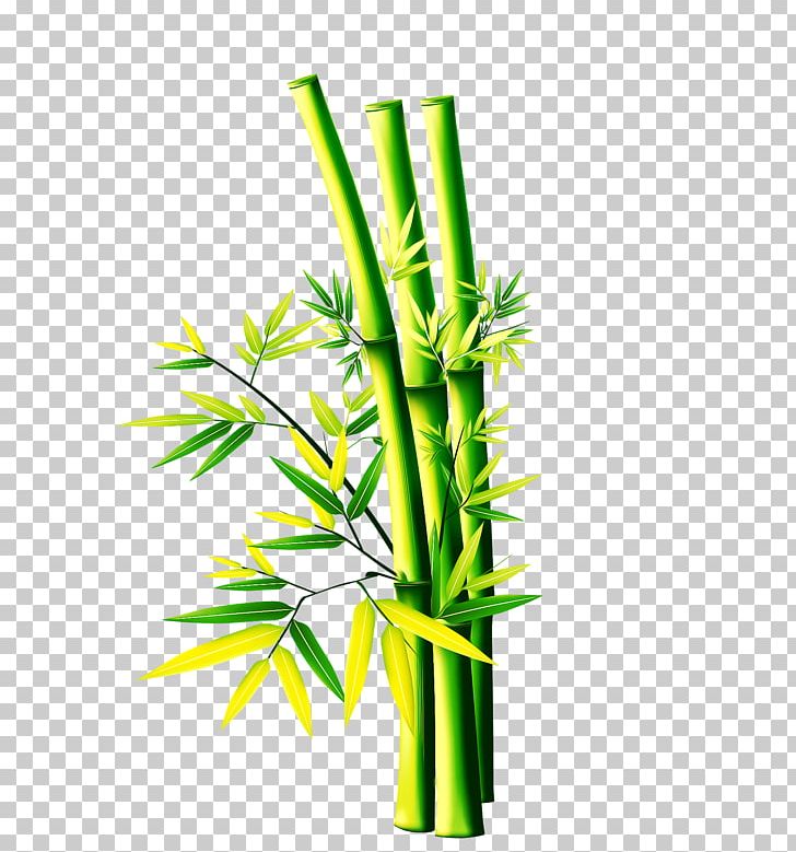 Bamboo PNG, Clipart, Bamboo Border, Bamboo Forest, Bamboo Frame, Bamboo House, Bamboo Leaf Free PNG Download
