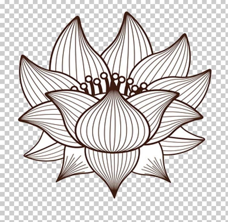 Drawing Nelumbo Nucifera PNG, Clipart, Art, Artwork, Black And White, Circle, Drawing Free PNG Download