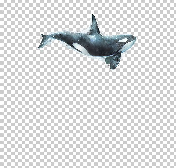 Killer Whale Canvas Print Art Painting Printmaking PNG, Clipart, Artist, Canvas, Cetacea, Fauna, Graphic Designer Free PNG Download