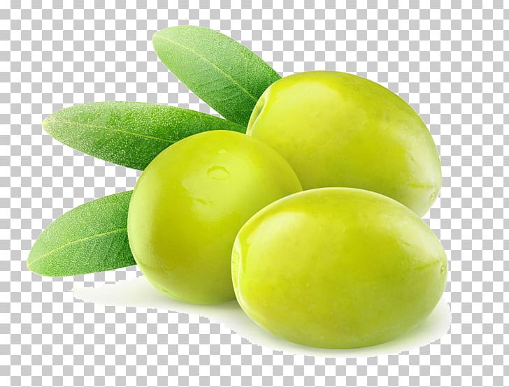 Olive Branch Olive Leaf Stock Photography PNG, Clipart, Apple Fruit, Citrus, Creative Market, Food, Food Drinks Free PNG Download