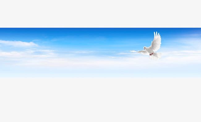 The Blue Sky And White Clouds Flying PNG, Clipart, Air, Animal, Animal Wing, Backgrounds, Beautiful Free PNG Download