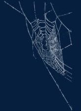 Cobweb PNG, Clipart, Abstract, Animal, Arachnid, Backgrounds, Black Color Free PNG Download