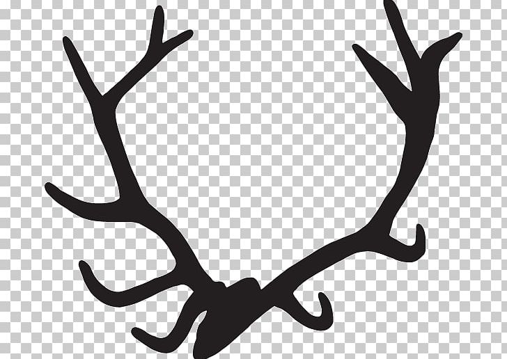 Deer Antler Food Wild Garlic Grill PNG, Clipart, Animals, Antler, Black And White, Car, Decal Free PNG Download