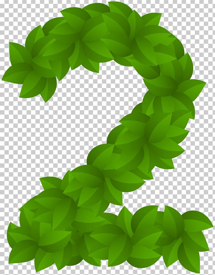 Leaf Green PNG, Clipart, Clipart, Clip Art, Decorative Numbers, Font, Grass Free PNG Download