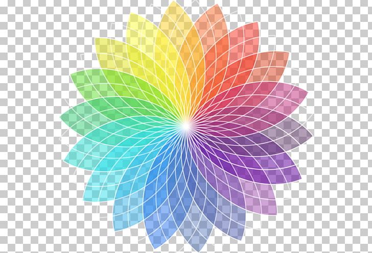 Light Color Photography PNG, Clipart, Albom, Animation, Art, Beauty, Beauty Salon Free PNG Download
