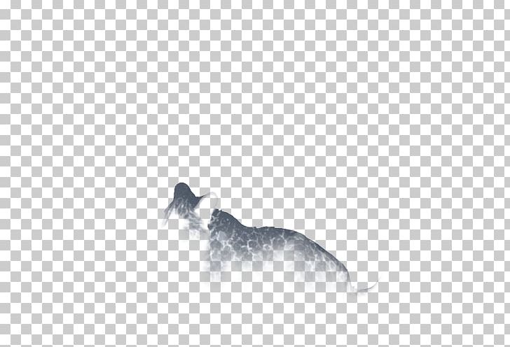 Dog Breed Whiskers Snout White PNG, Clipart, Animals, Black And White, Breed, Carnivoran, Dog Free PNG Download