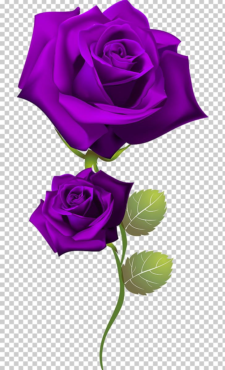 Rose PNG, Clipart, Chart, Cut Flowers, Desktop Wallpaper, Flora, Floral Design Free PNG Download