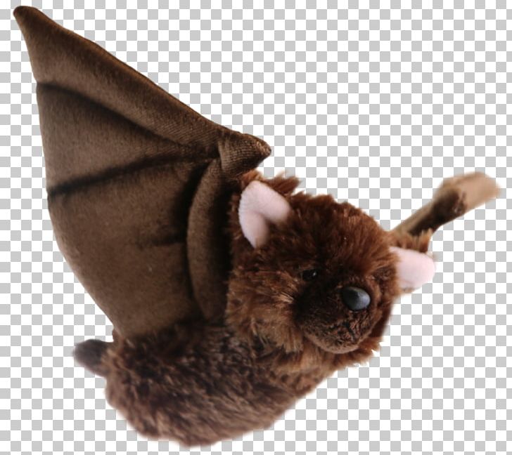 Little Brown Bat Big Brown Bat Canadian Wildlife Federation White-nose Syndrome PNG, Clipart, Adoption, Animal, Animals, Bat, Big Brown Bat Free PNG Download