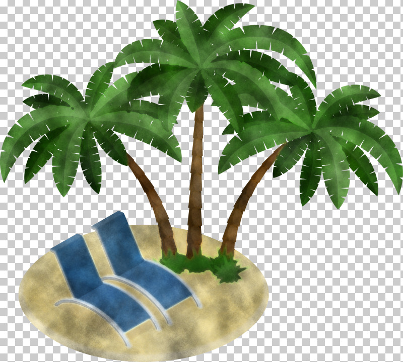 Palm Tree PNG, Clipart, Arecales, Flower, Flowerpot, Hemp Family, Houseplant Free PNG Download