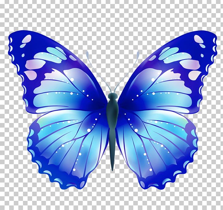 Butterfly Desktop PNG, Clipart, Arthropod, Azu, Blue, Brush Footed Butterfly, Butterflies And Moths Free PNG Download