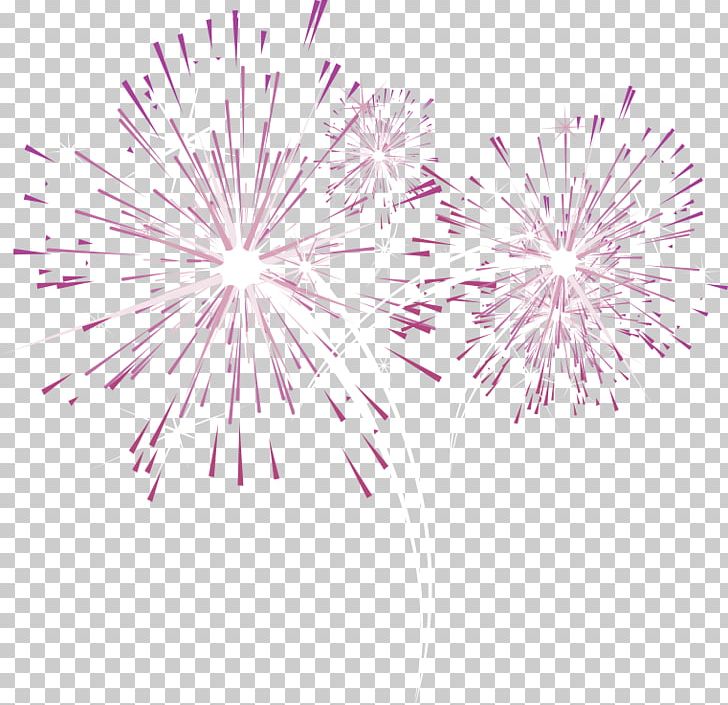Fireworks Purple PNG, Clipart, Background Effects, Circle, Color, Effect, Effect Element Free PNG Download