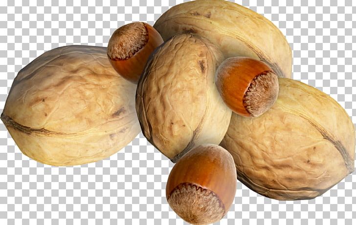 Walnut Juglans PNG, Clipart, Auglis, Bunao, Bunao Food, Chestnut, Chinese Free PNG Download