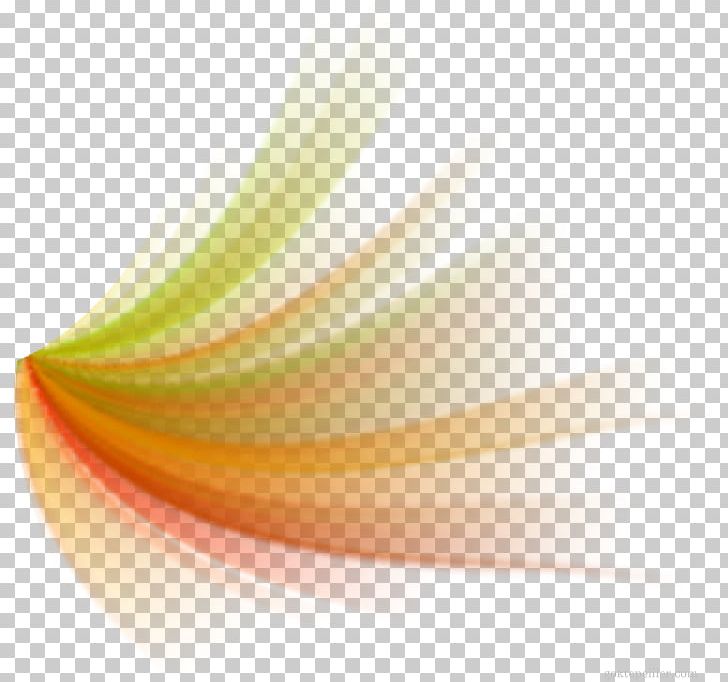 Light PNG, Clipart, Color, Computer Wallpaper, Desktop Wallpaper, Digital Image, Light Free PNG Download