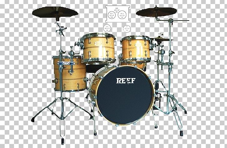 Bass Drums Timbales Tom-Toms Snare Drums PNG, Clipart, Bass, Bass Drum, Bass Drums, Cymbal, Drum Free PNG Download