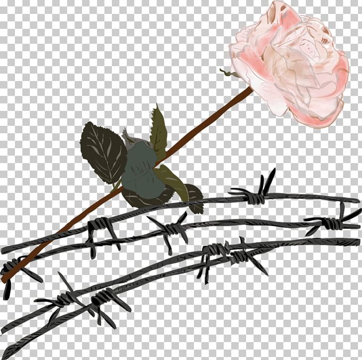 Ranged Weapon Twig Plant Stem PNG, Clipart, Bird, Branch, Flower, Insect, Line Free PNG Download