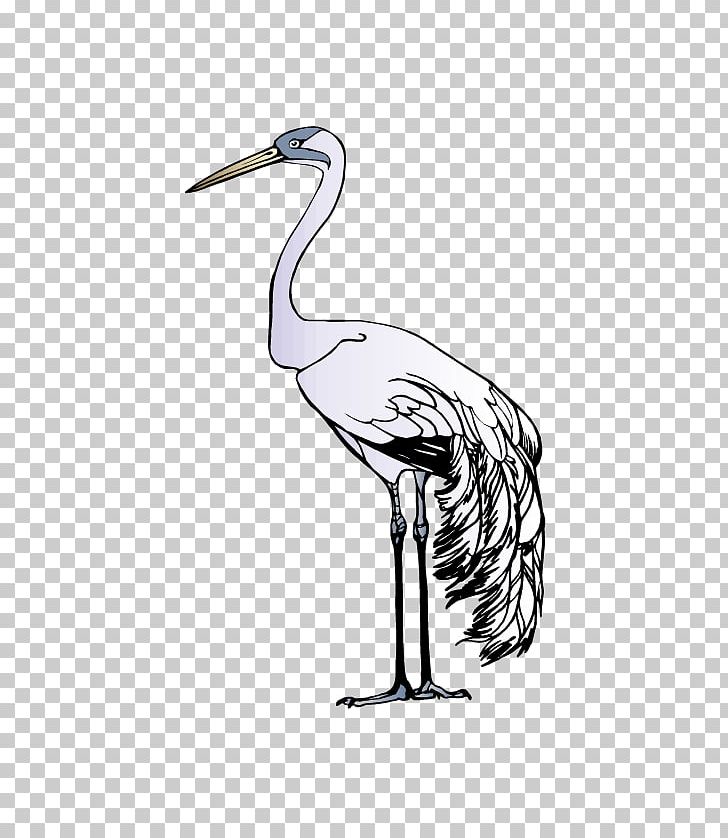 Red-crowned Crane Bird Yancheng Coastal Wetlands PNG, Clipart, Beak, Bird, Cartoon, Crane, Explosion Effect Material Free PNG Download