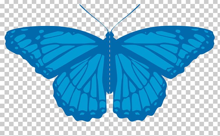 Axial Symmetry Bilateria Mathematics Symmetry In Biology PNG, Clipart, Axial Symmetry, Azure, Bilateria, Biology, Brush Footed Butterfly Free PNG Download