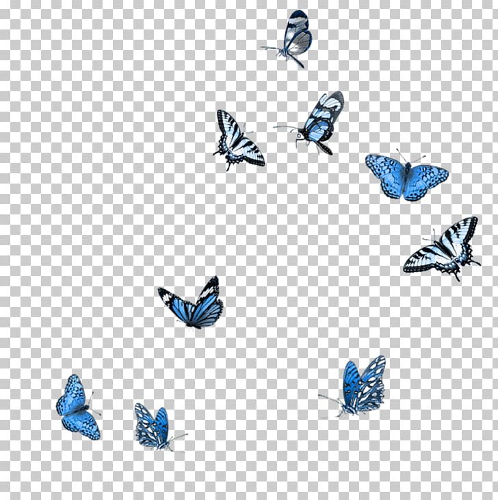 Butterfly Photography PNG, Clipart, Amarna, Animal Figure, Blue, Butterflies And Moths, Butterfly Free PNG Download