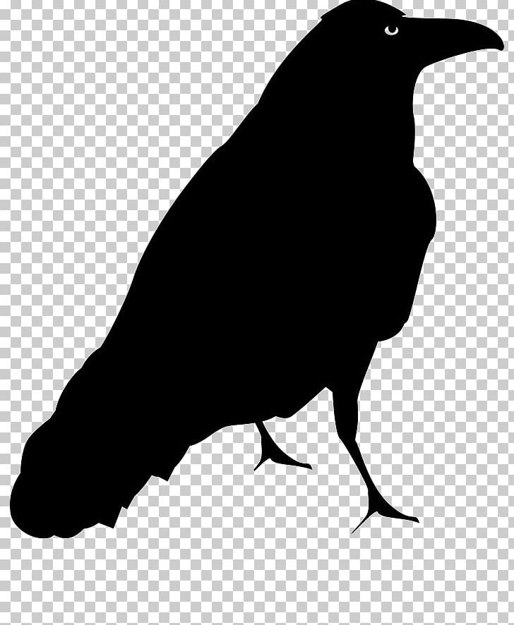 Common Blackbird Drawing PNG, Clipart, American Crow, Animals, Beak, Bird, Black And White Free PNG Download