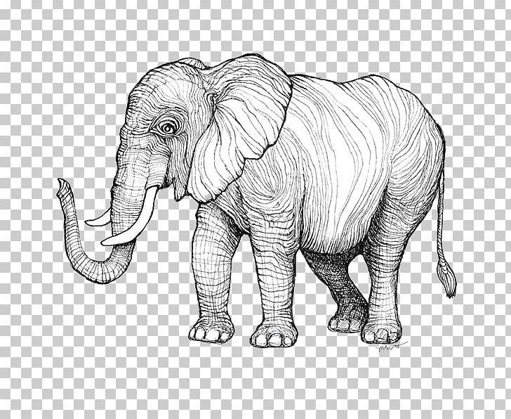 Indian Elephant African Elephant Sketch Illustration Line Art PNG, Clipart, Animal, Animal Figure, Art, Artwork, Black Free PNG Download