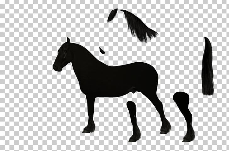 Mule Foal Stallion Colt Mare PNG, Clipart, Animal Figure, Black And White, Bridle, Colt, Foal Free PNG Download