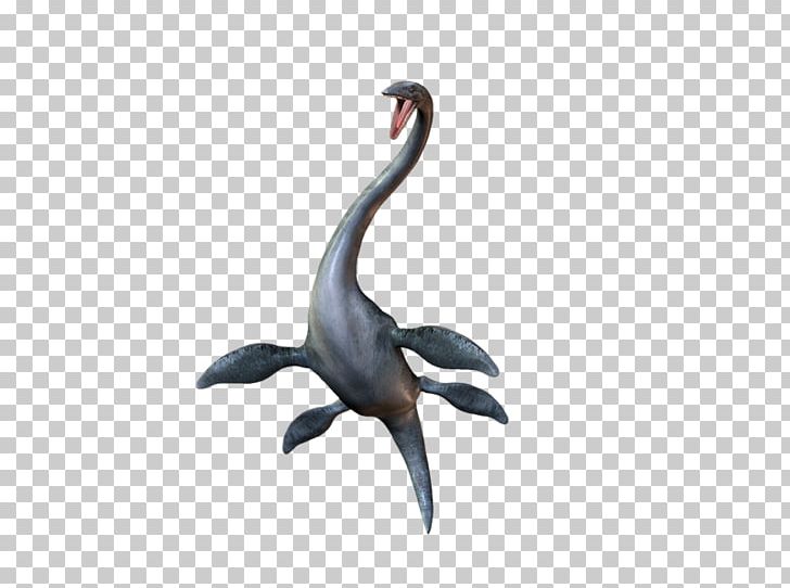 PhotoScape Bird GIMP Fauna PNG, Clipart, Animal, Beak, Bird, Crane Like Bird, Dinosaur Free PNG Download
